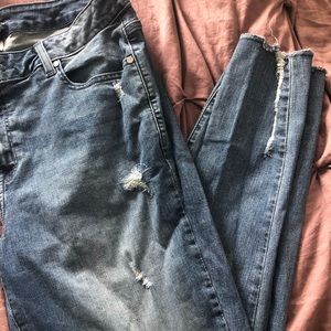 Lane Bryant Skinny Jeans